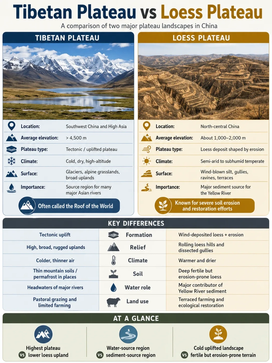 Tibetan Plateau vs Loess Plateau comparison showing geographic features, climate, soil types, and ecological differences between these two significant regions.